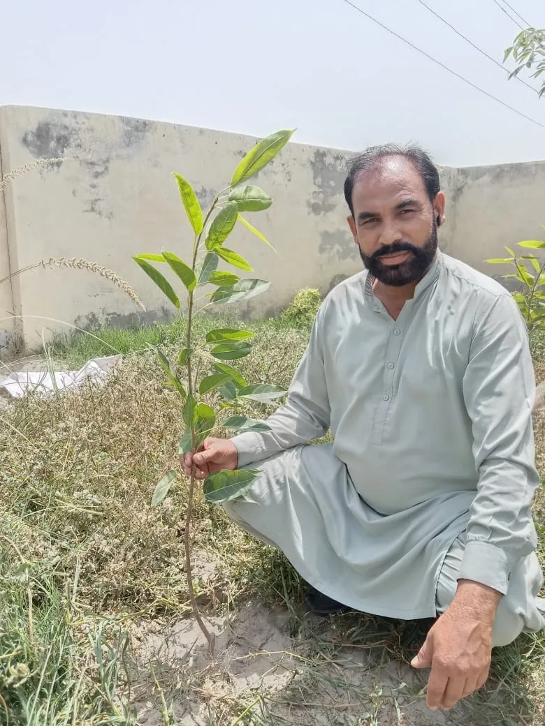 Green Seekers Activity